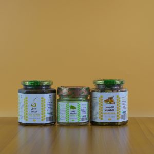 باقة الطاقة المتكاملة للحيوية والنشاط