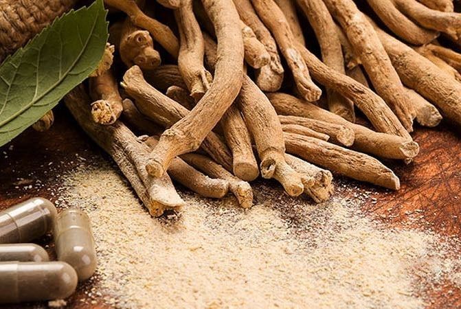 فوائد عشبة الأشواغاندا