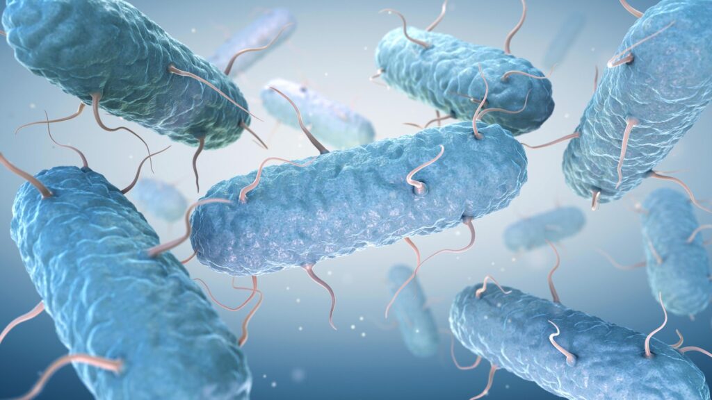 علاج جرثومة المعدة بالأعشاب