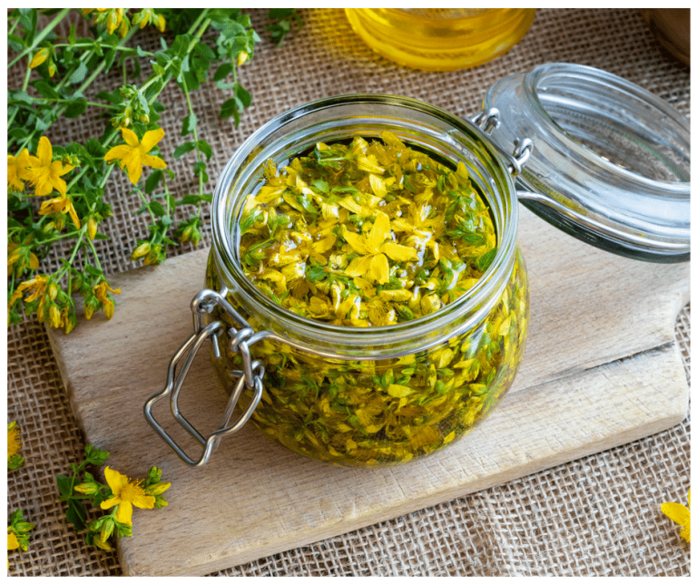  كيفية استخدام عشبة القديسين