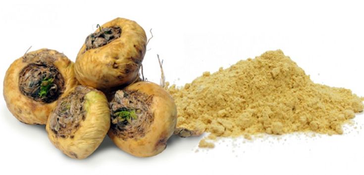 فوائد عشبة الماكا للجنس للنساء