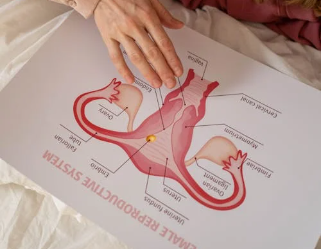 أمراض الرحم الشائعة التي تعاني منها النساء