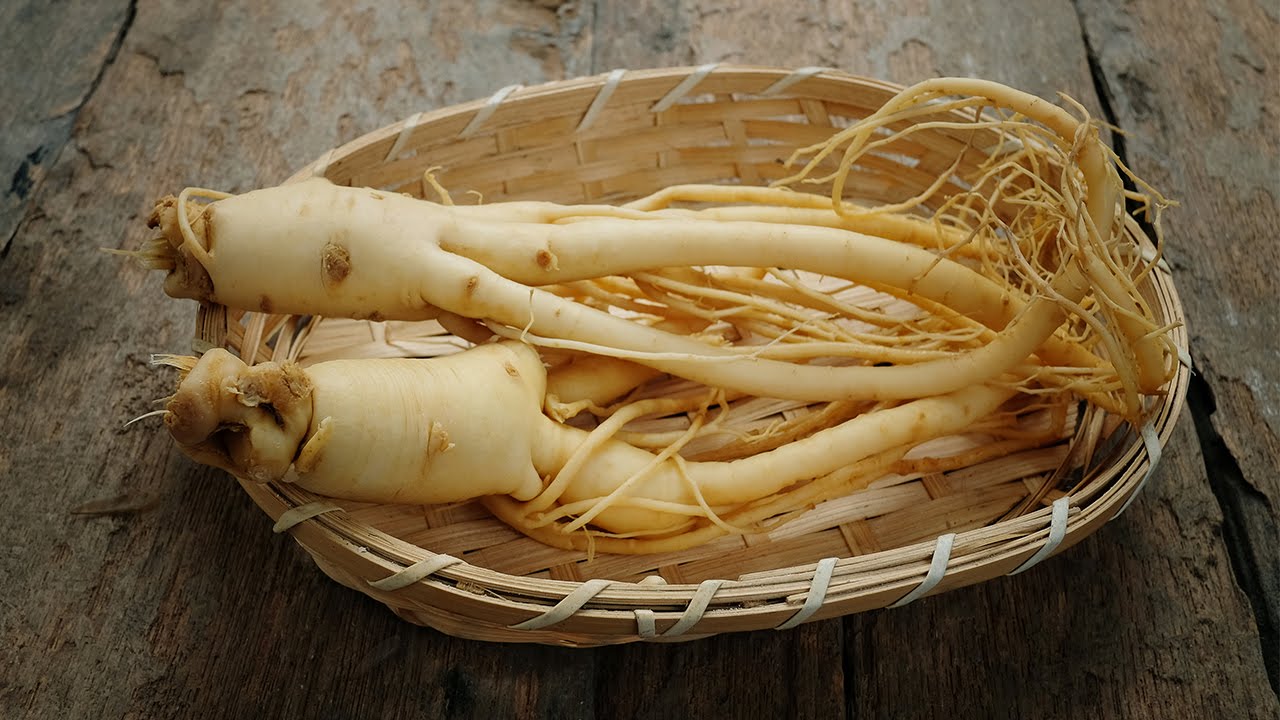 فوائد عشبة الجنسنج للجنس