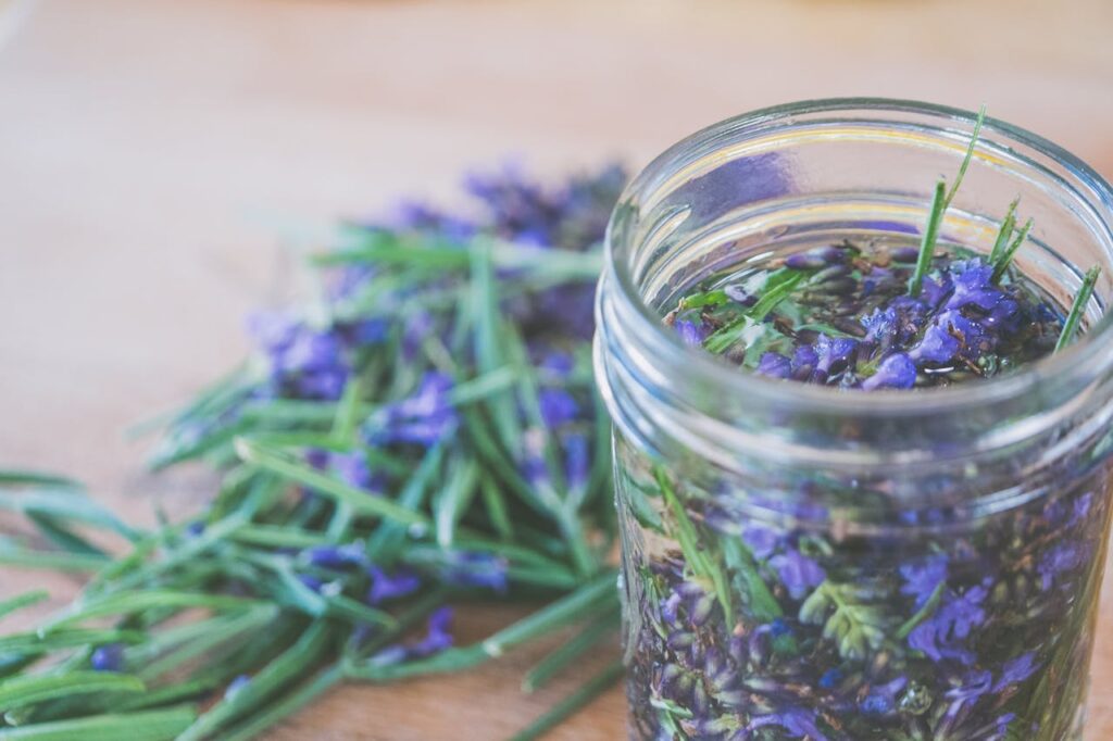 أفضل الأعشاب لتعزيز الطاقة