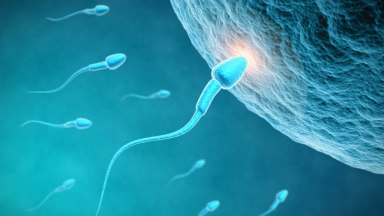 أسباب وعلاج اعراض العقم عند الرجال والنساء